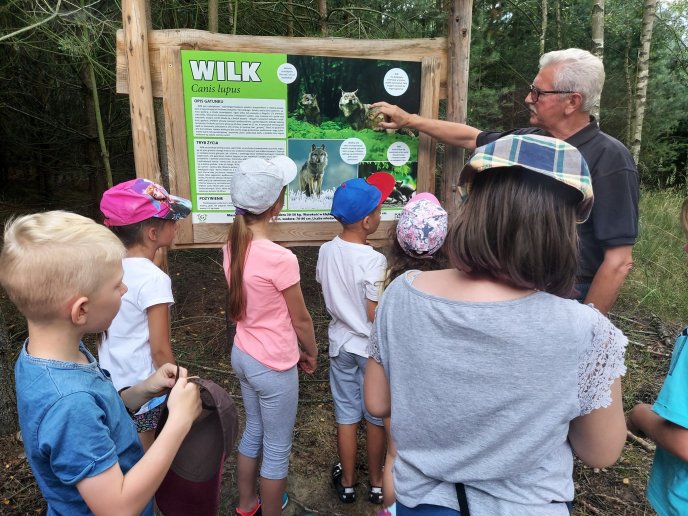 Wiele możliwości letniego wypoczynku w mieście.