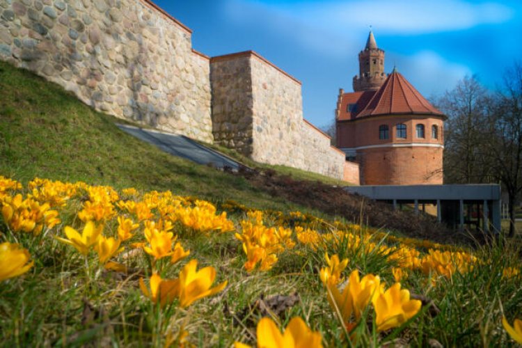 Prawie 1 000 000 zł dofinansowania na remont XIII-wiecznych murów obronnych wzdłuż ul. Klasztornej.